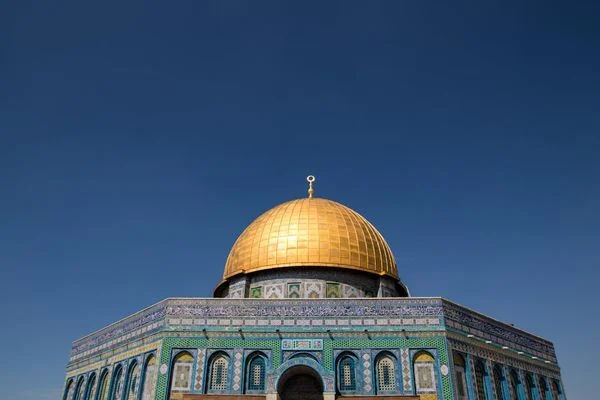 מומחה להדברה בירושלים: טיפים מהבכירים
